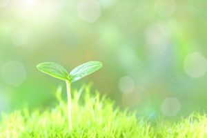 スヌーピーミュージアム町田ワークショップ予約と前売券購入はこちら