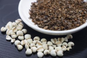 ハトムギ粉(ヨクイニン)の効果は？副作用で太る？体験レビュー