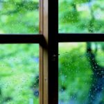 雨の日や曇りの日で紫外線の量はどう変わる?見落としがちなところも