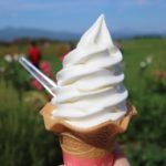 旅行や観光地に行くとソフトクリームが食べたくなるのはなぜ?