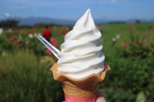 旅行や観光地に行くとソフトクリームが食べたくなるのはなぜ？
